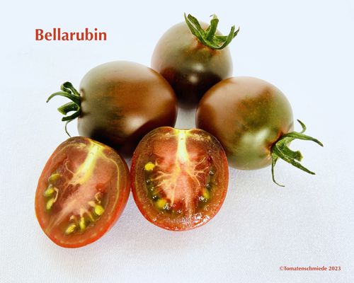Bellarubin